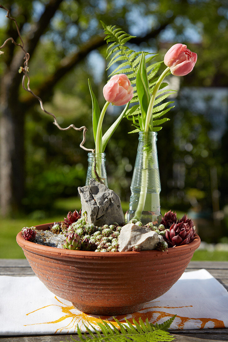 Small bottles with tulip flowers in the mini rock garden with houseleek and stones