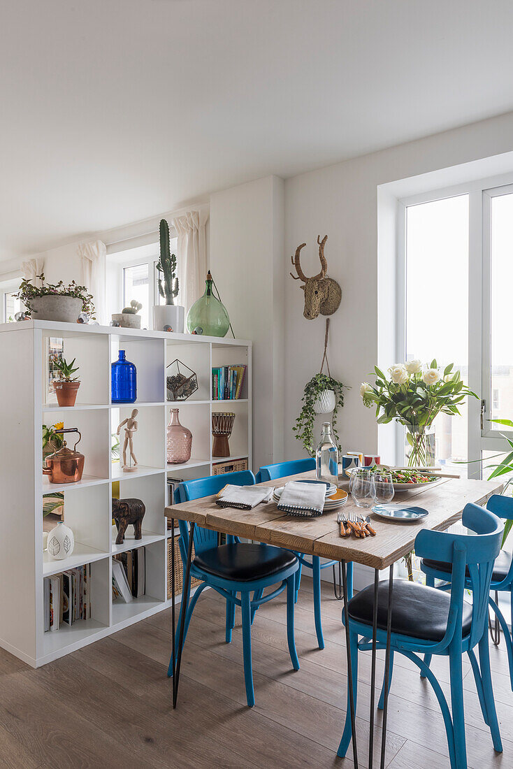 Blue-painted chairs around dining table in front of open partition shelves