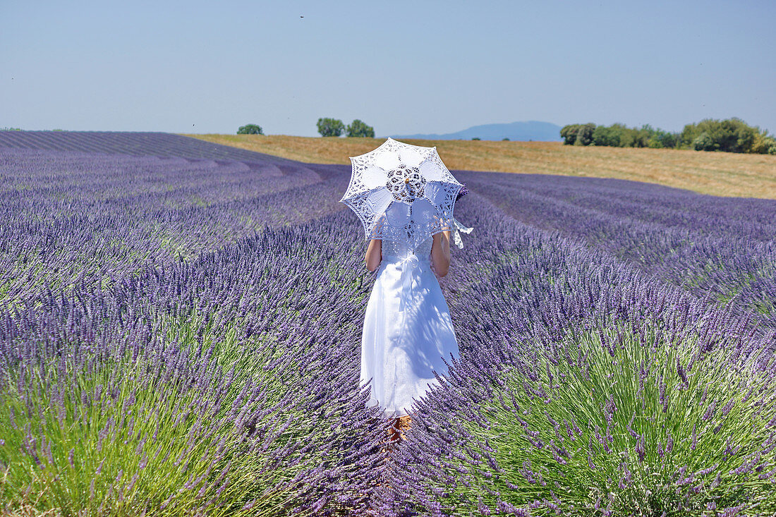 Frau mit Sonnenschirm im Lavendelfeld