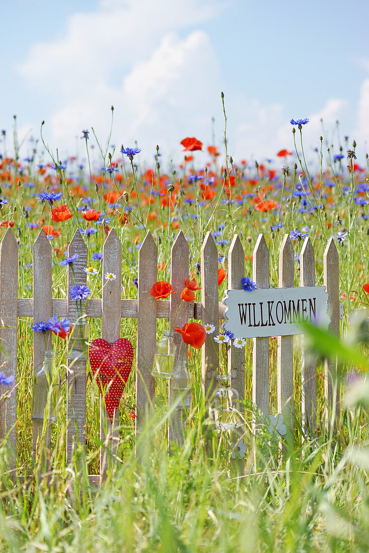 Kleiner Zaun mit Schild Willkommen und rotem Herz in Blumenwiese mit Klatschmohn, Kornblumen und Kamille