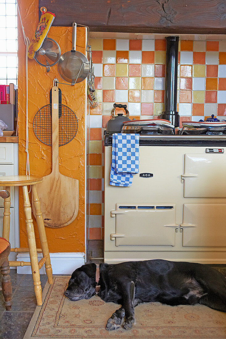 Dog lying on kitchen floor next to the AGA stove