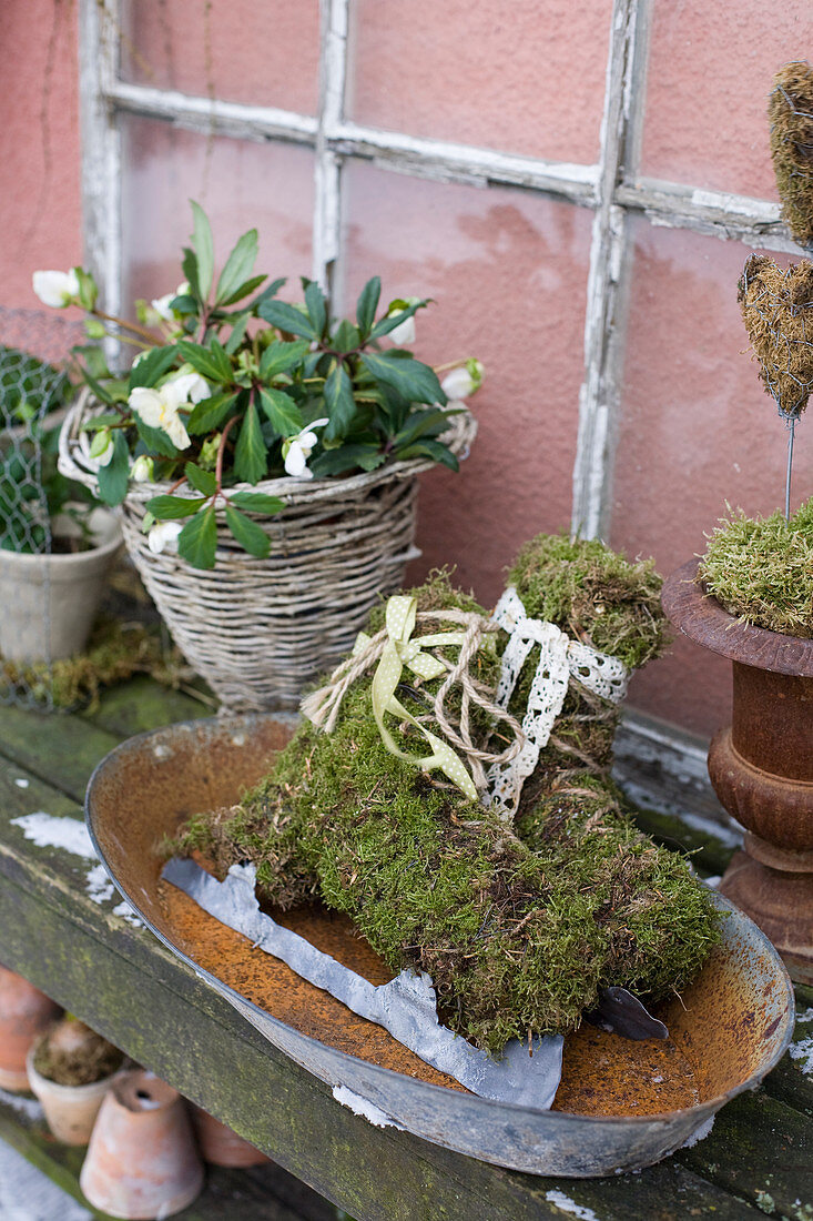 Ice skates made of moss and Christmas roses