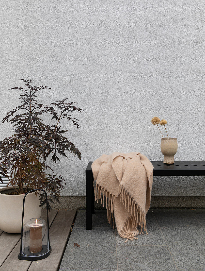 Blanket on black bench, potted plant and lantern on terrace