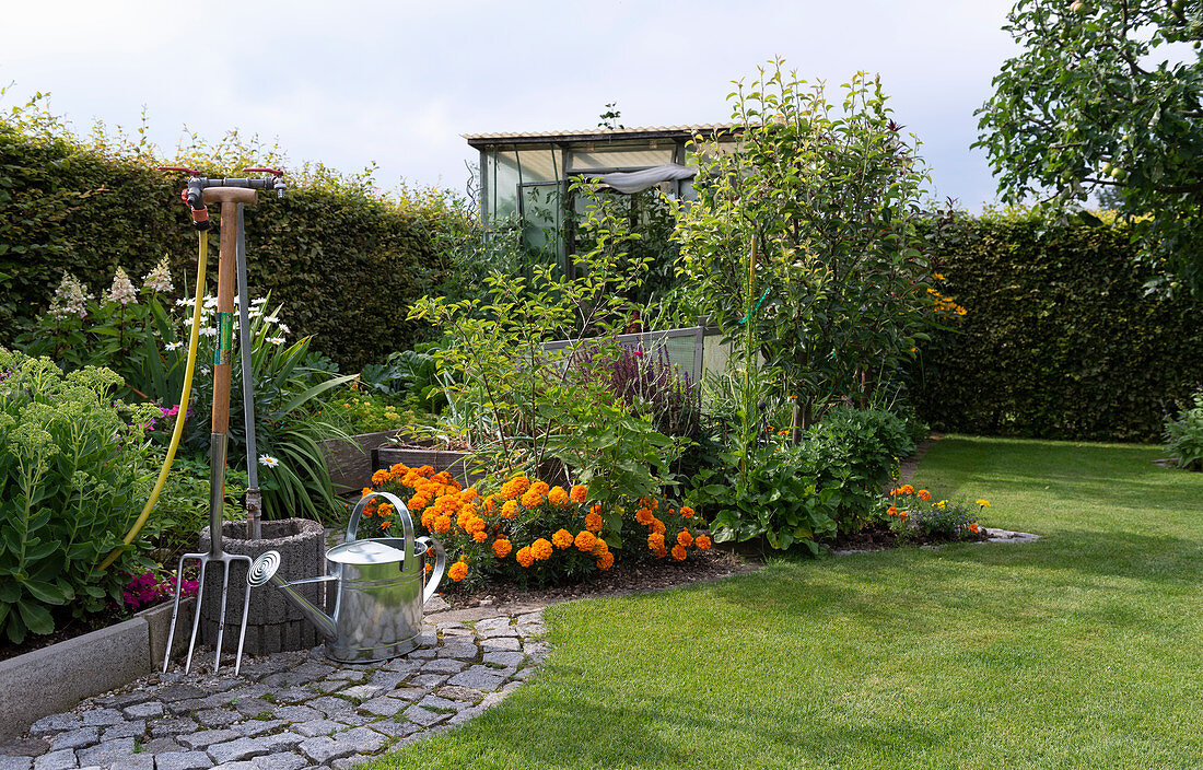 Watering hole in the British garden, watering can and pitchfork, view of the flower bed and greenhouse.