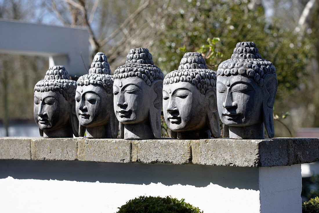 Buddha-Köpfe im Zen-Garten