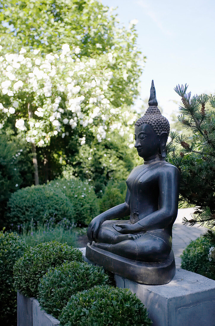 Zen-Garten mit Buddha und Buchs-Kugeln