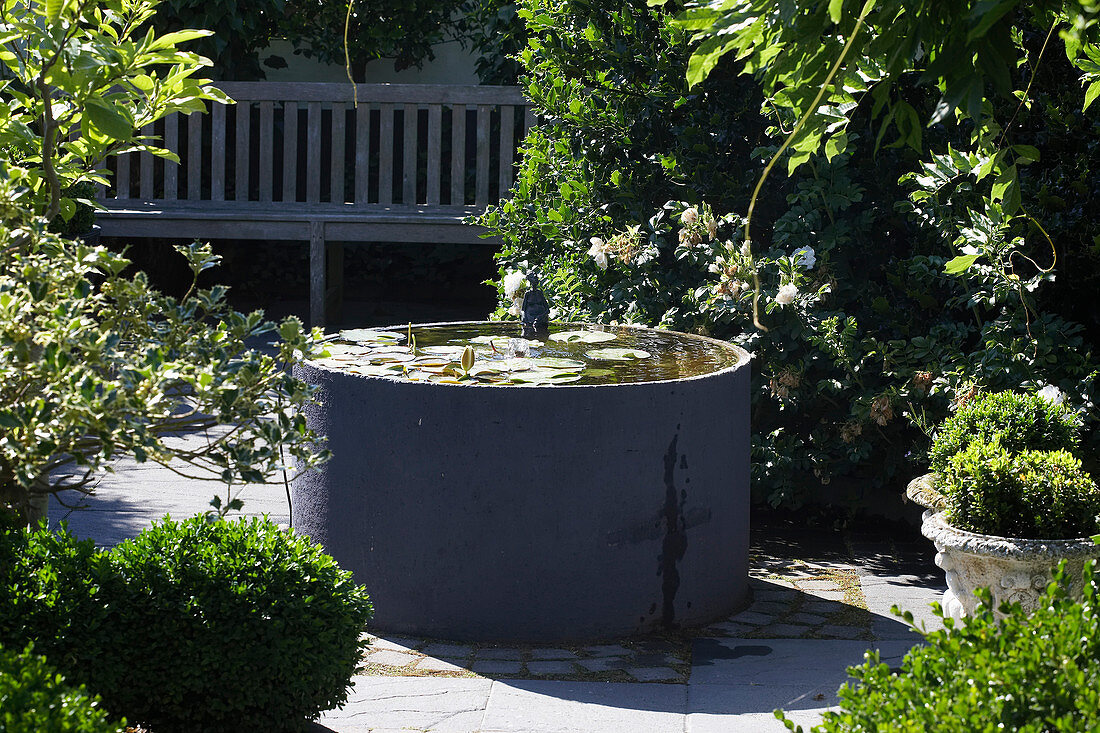 Wasserbecken mit Seerosen im Zen-Garten