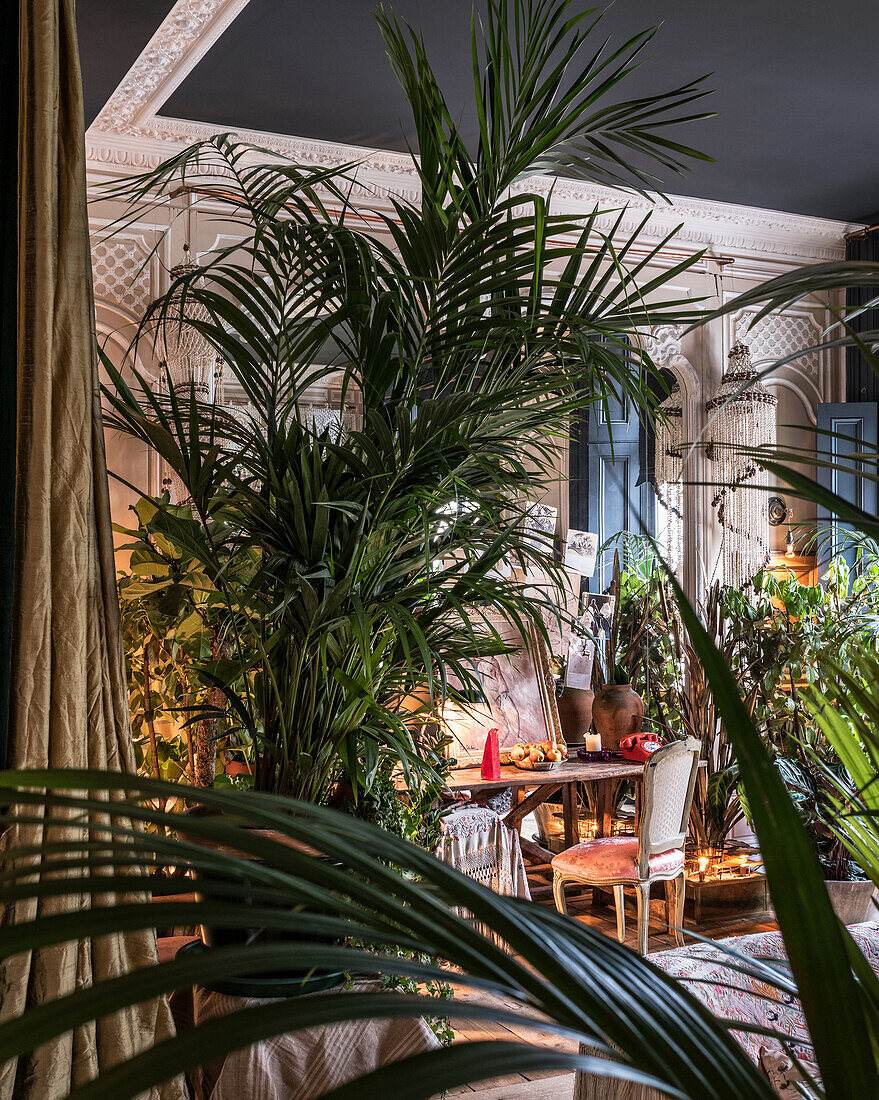 Desk, chair and houseplants in theatrical room