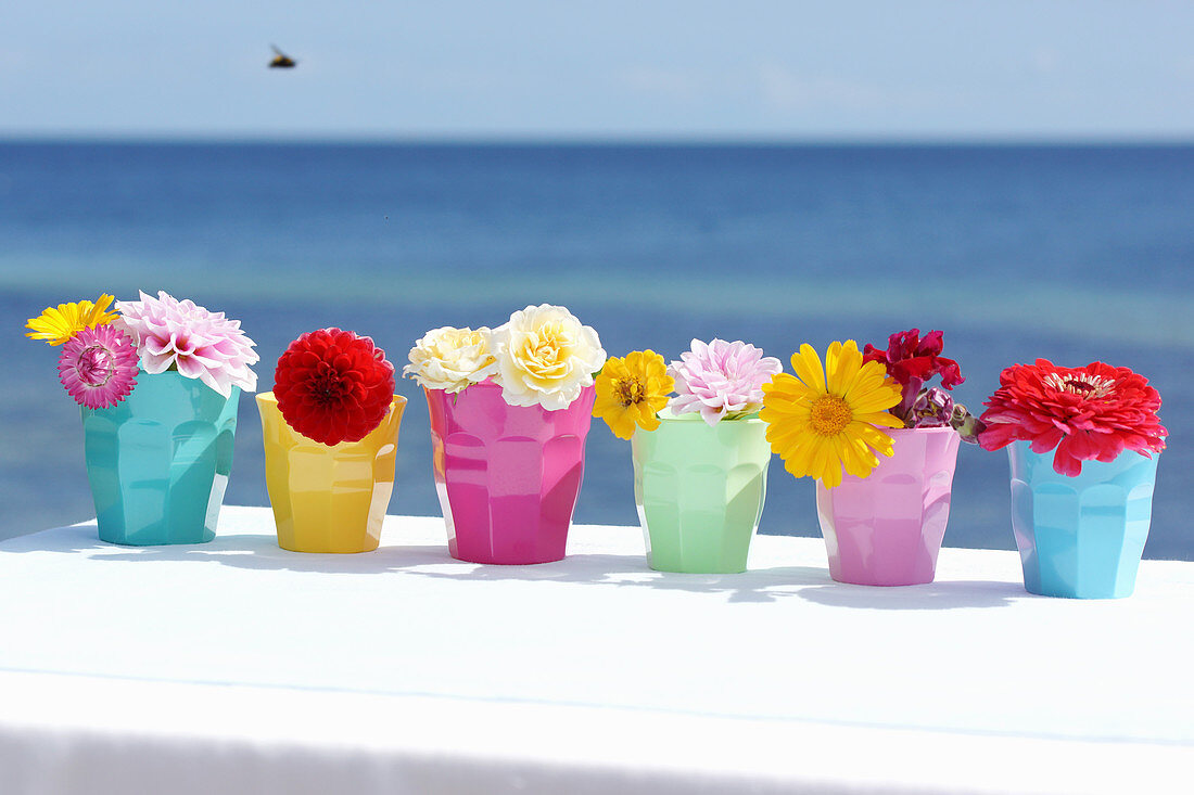 Colourful cups of flowers