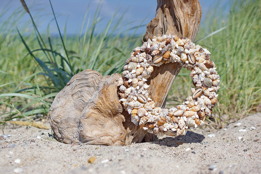 Shell wreath on the beach