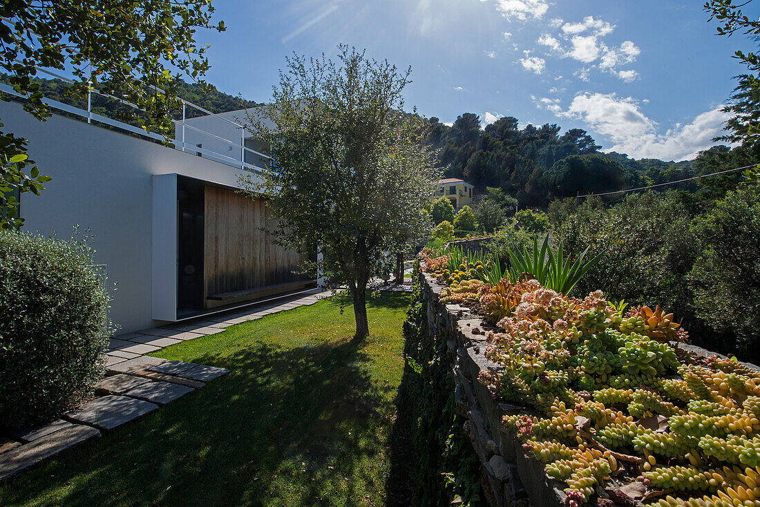 Blick vom Garten auf moderne Villa