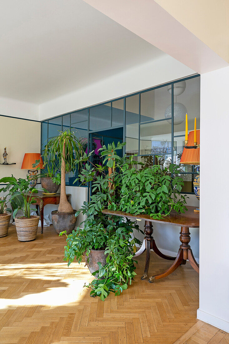 Heller Raum mit Zimmerpflanzen und Glaswand