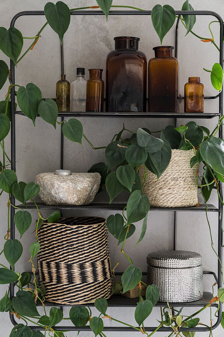 Metal shelf with wicker baskets and apothecary bottles, surrounded by houseplants