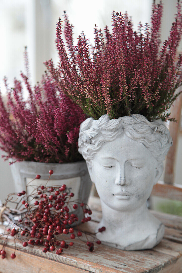 Autumn arrangement of rose hips, heather and antique-look planters