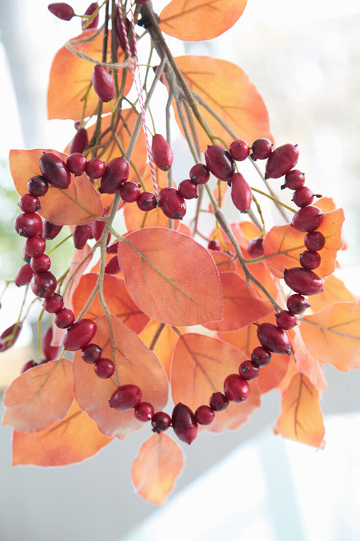 Hagebuttenherz auf künstlichem Zweig mit Herbstlaub