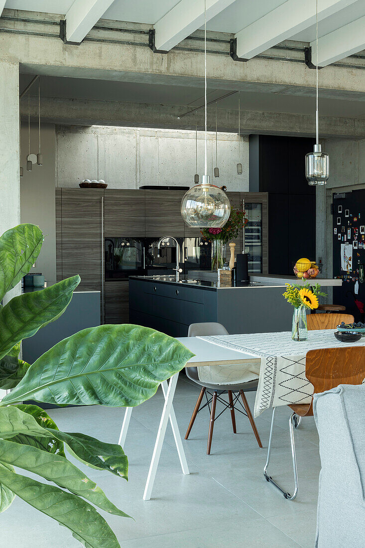 Open-plan kitchen with dining area and houseplant in loft apartment