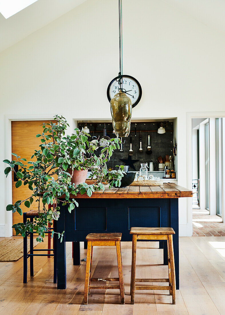 Blaue Kücheninsel mit Arbeitsplatte aus recyceltem Holz, Zimmerpflanze und Pendelleuchte