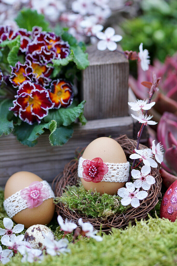 Easter eggs with lace ribbon, sprig of Cherry plum blossoms and ruffled primrose