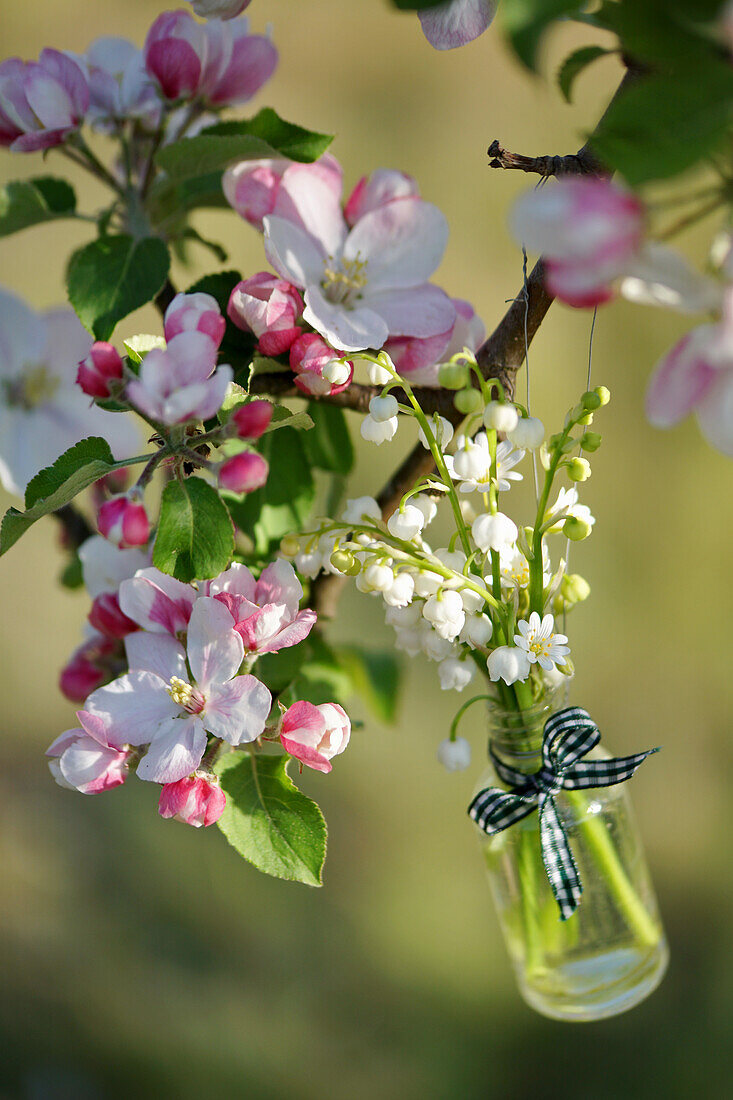 Kleiner Maiglöckchenstrauß in Glasflasche am blühenden Apfelbaum