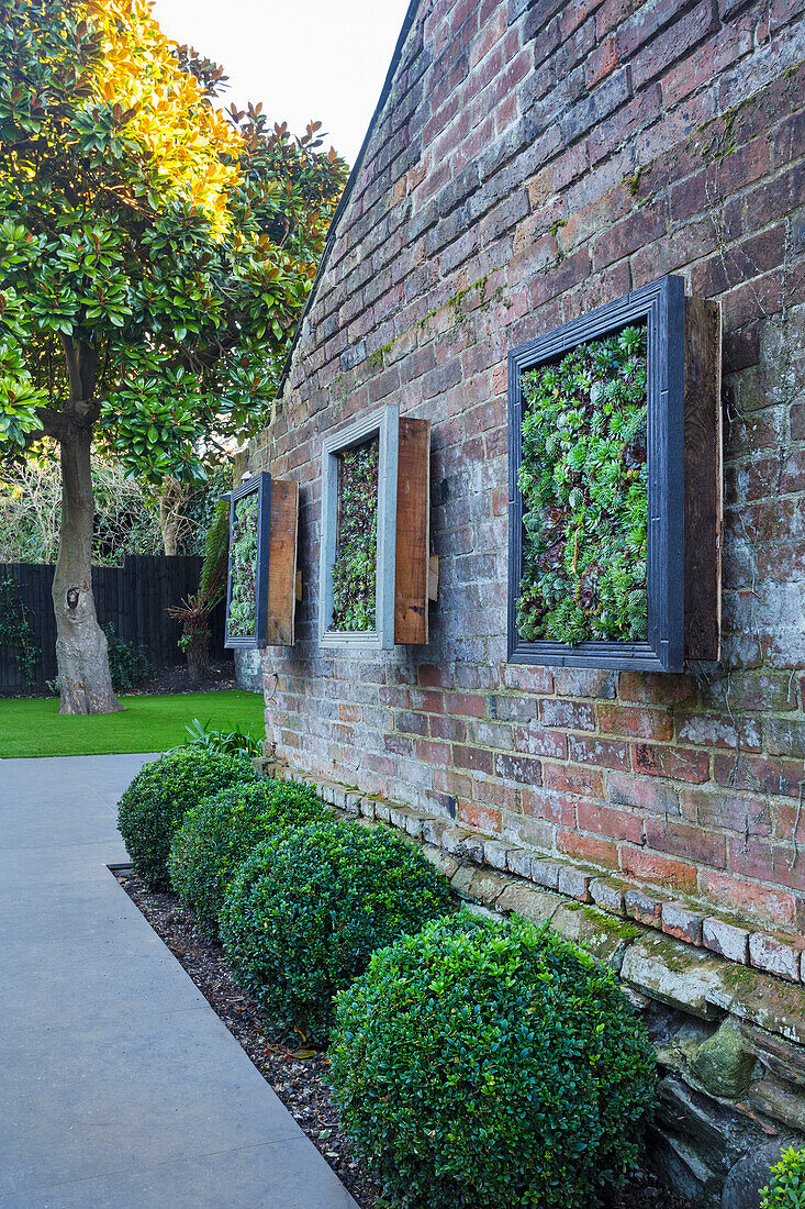 Vertical planted window frames on brick wall