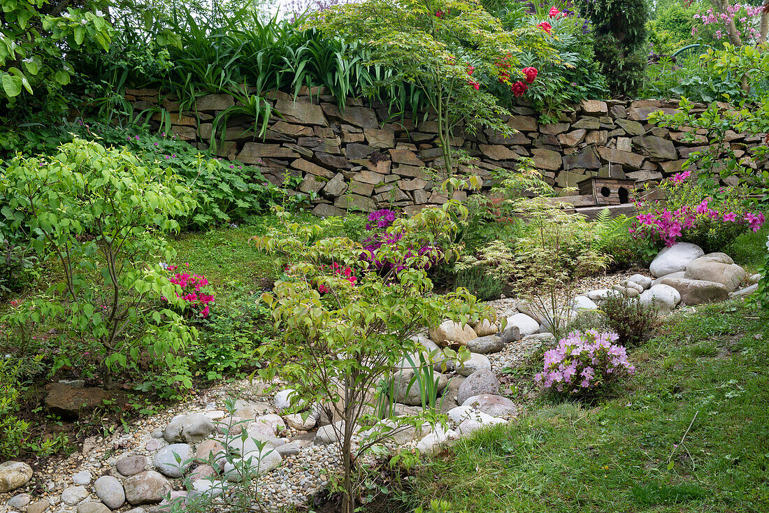 Summery garden with natural stones and dry stone wall