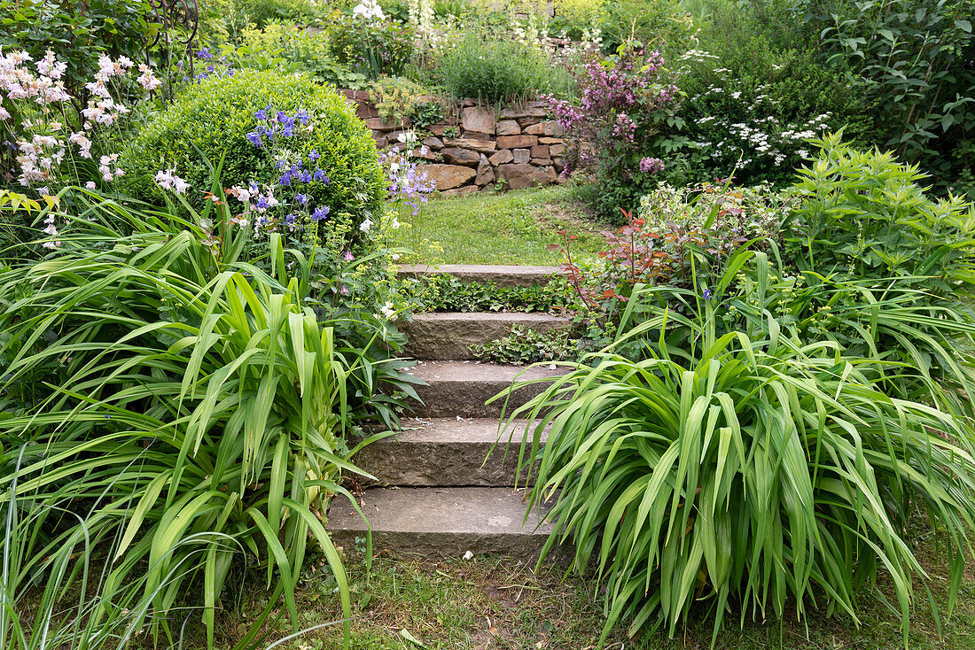 Summer garden with concrete steps