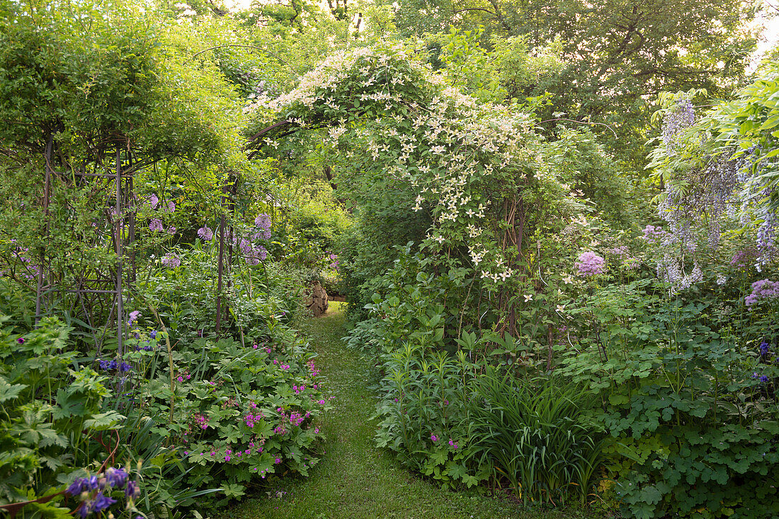 Lush garden with grassy path