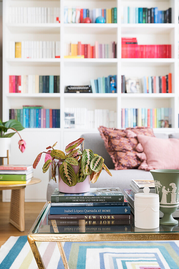 View over coffee table with books and plant to floor-to-ceiling bookcase