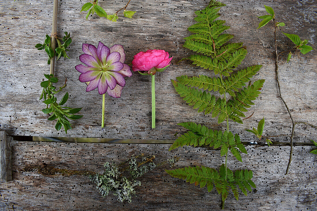 Tableau: Holunderzweig, Blüten von Lenzrose und Ranunkel, Farnblatt, Zweig mit Flechte