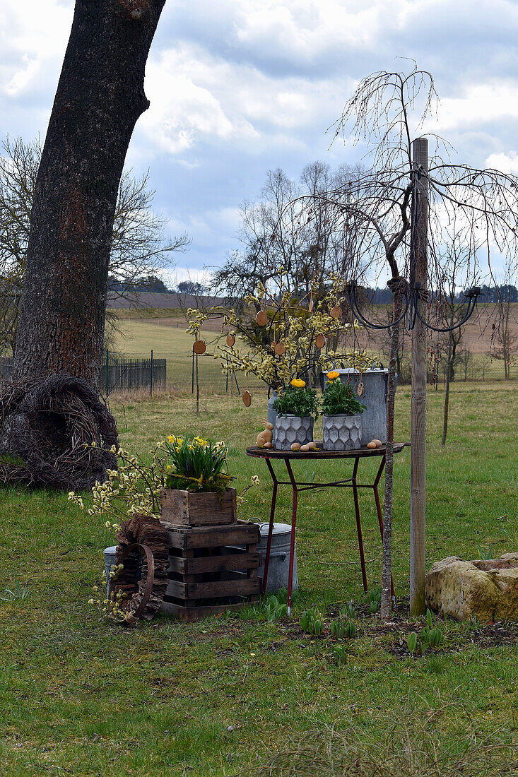 Rustic Easter arrangement with daffodils, willow catkins and ranunculus on table and wooden crate in garden