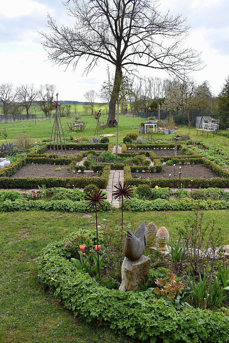 Bauerngarten mit Buchshecken und Beete mit Storchschnabel und Dekoration im Frühling