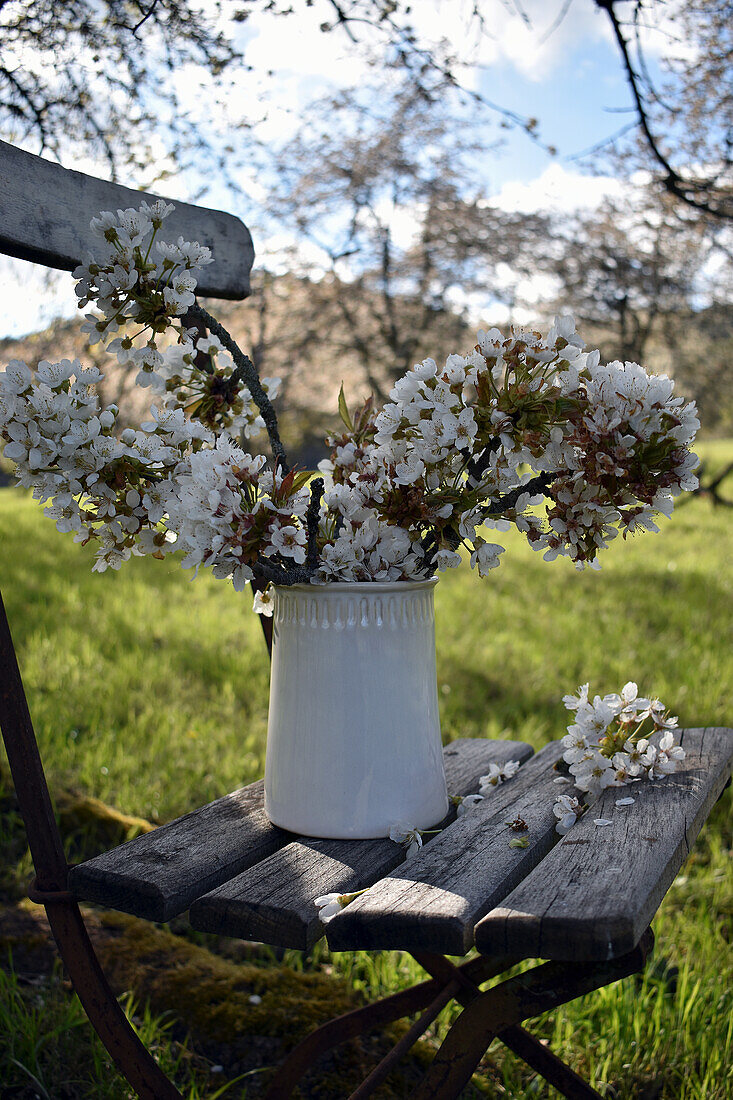 Bouquet of cherry blossoms on a garden chair