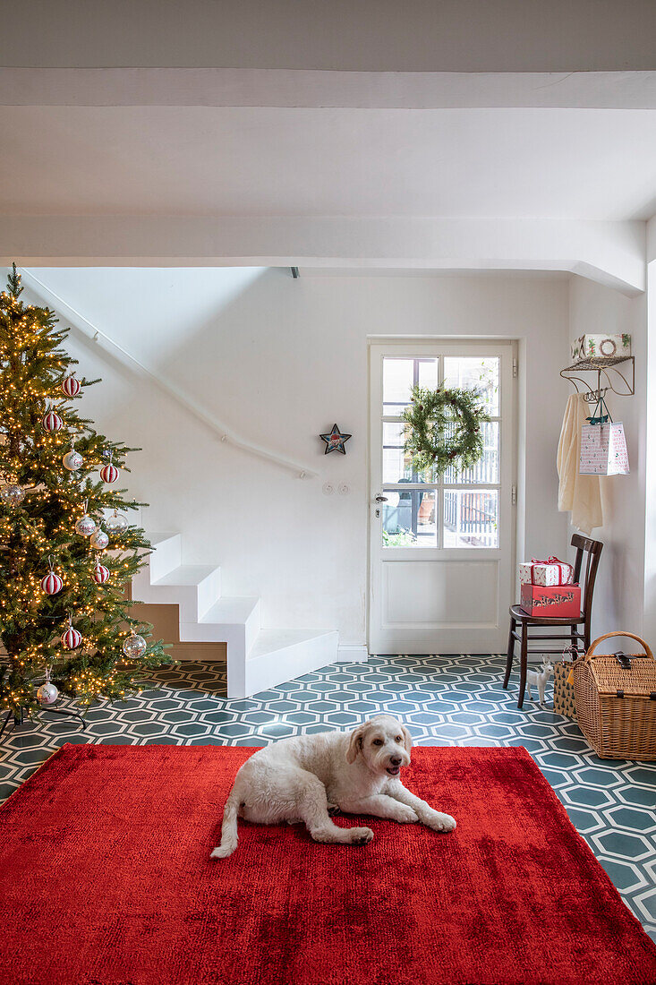 Flur mit Weihnachtsbaum, dekorierter Tür und Hund auf rotem Teppich