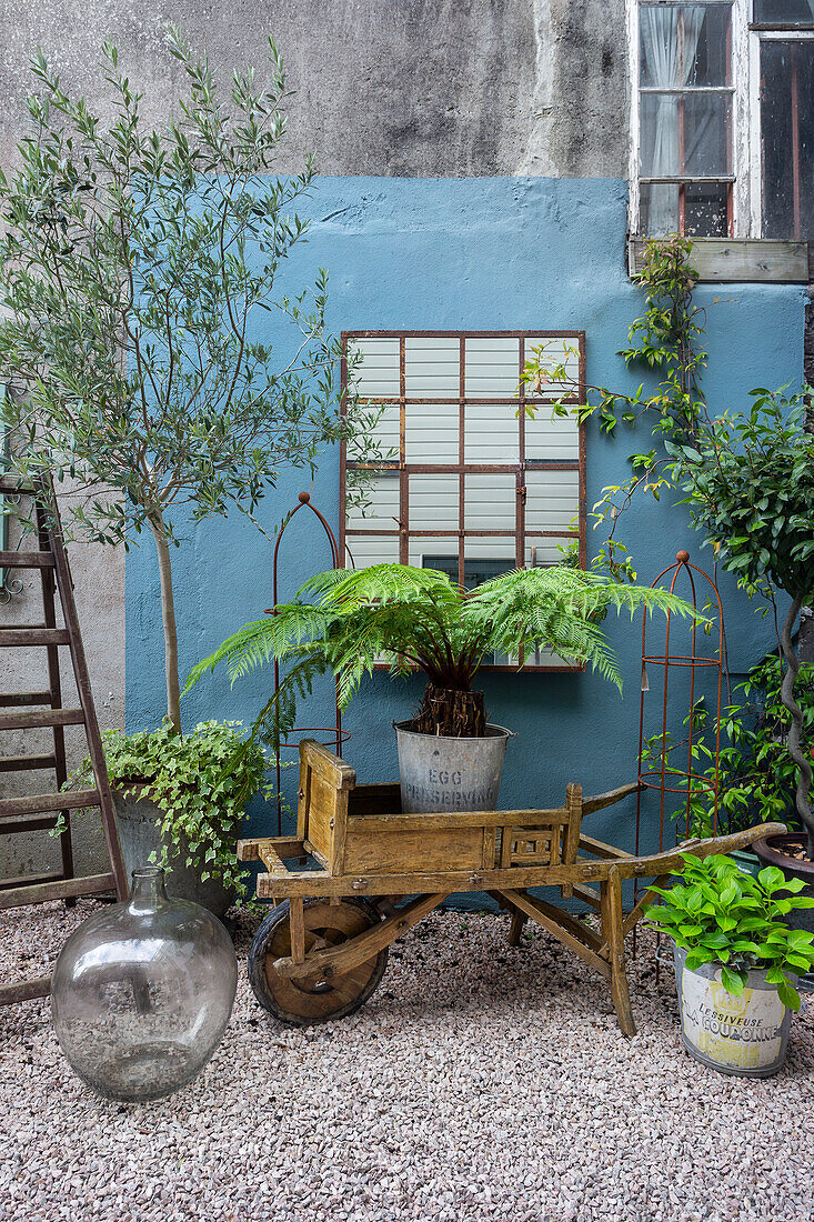 Old wheelbarrow as a decoration and plants in the courtyard with gravel floor