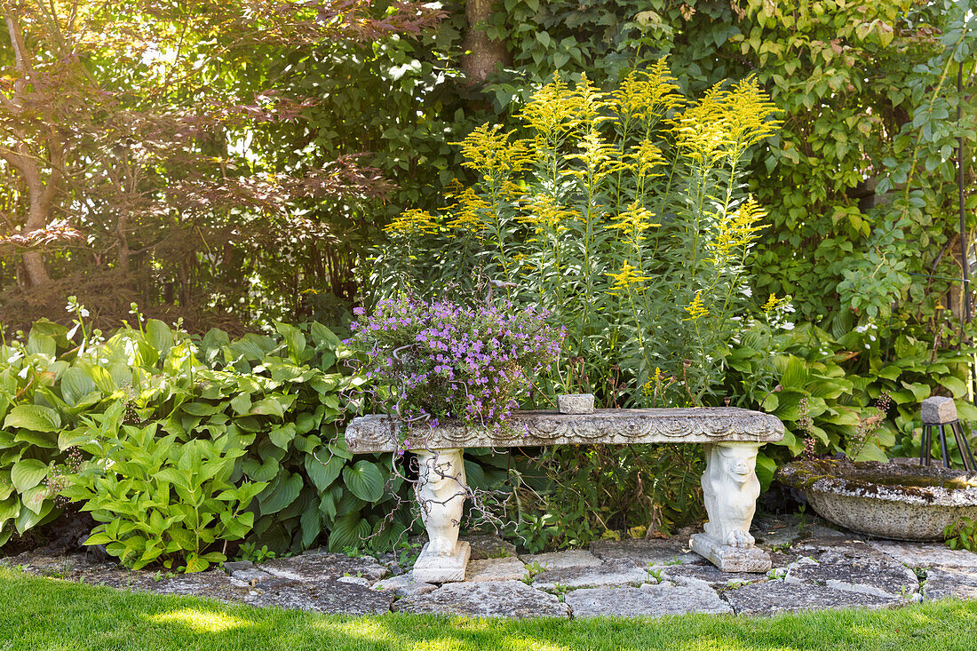 Stone bench at the perennial bed in the summer garden