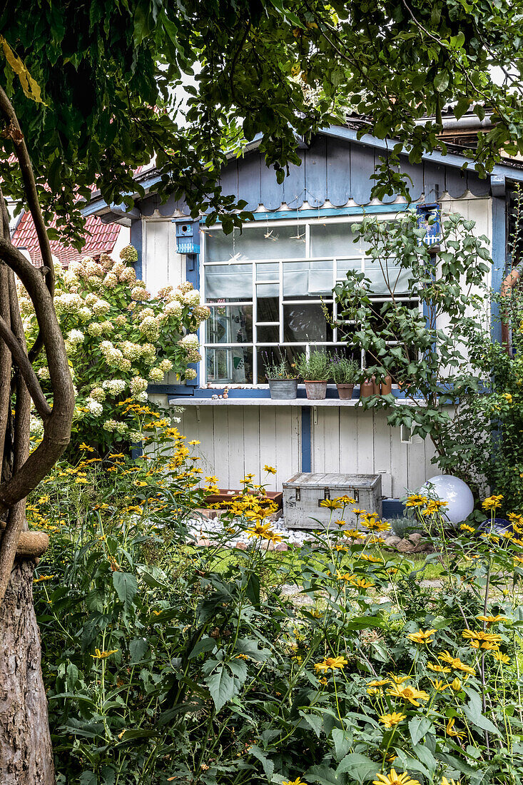 Blick vom Garten auf Holzhaus mit Sprossenfenster