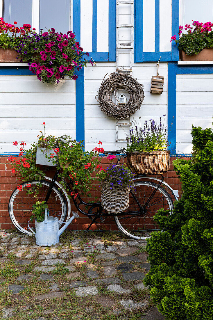 Mit Blumen beladenes Fahrrad vor Haus mit Blumentrögen auf Fensterbank