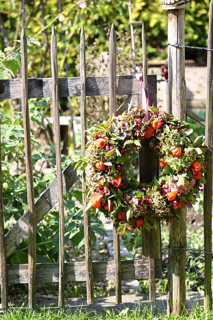 Kranz aus Lampionblumen und Hortensien am Zaun