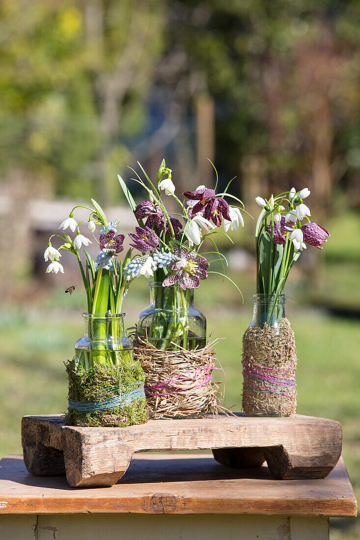 Posies of snake's head fritillaries, grape hyacinths, striped squill and snowdrops