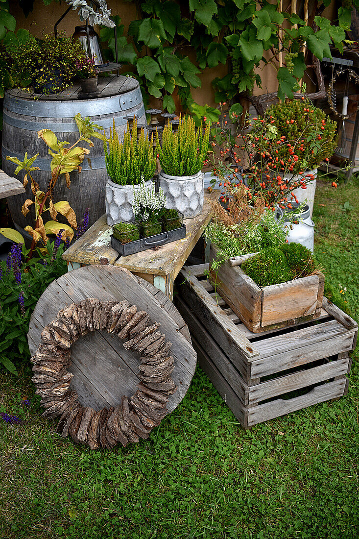Wooden boxes and tables with heather, moss and rose hips; wooden wreath in the foreground