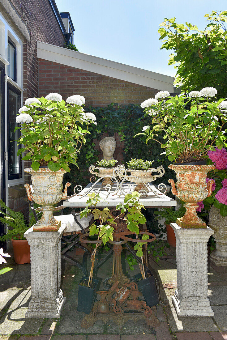 Hortensien auf Pflanzenständer vor rustikalem Tisch auf der Terrasse