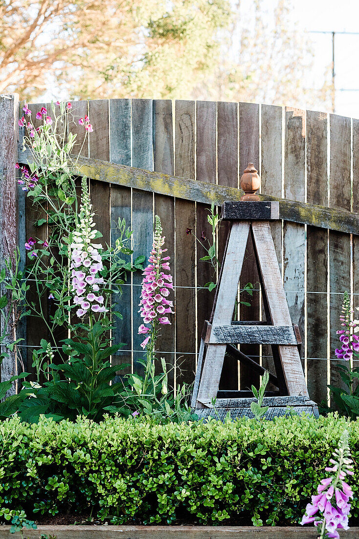 Obelisk aus wiederverwendetem Holz und Fingerhüte (Digitalis) im Garten
