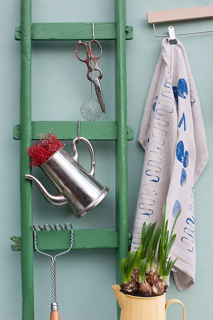 Green ladder, pair of old scissors, sieve, potato masher, two jugs, planted daffodil bulbs and coathanger with dish towel covered in various prints