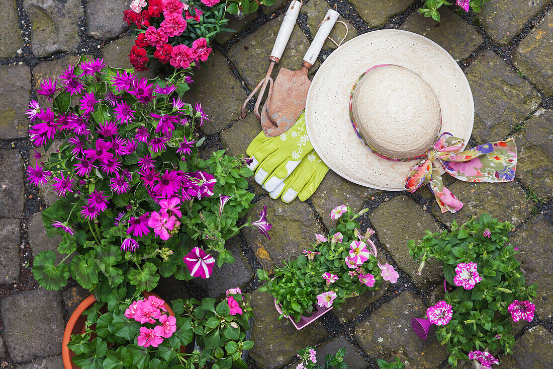 Verschiedene eingetopfte Frühlings- und Sommerblumen, Strohhut, Gartengeräte und Handschuhe auf Kopfsteinpflaster