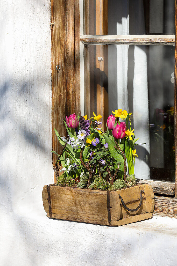 Spring flowers in a wooden box on a windowsill