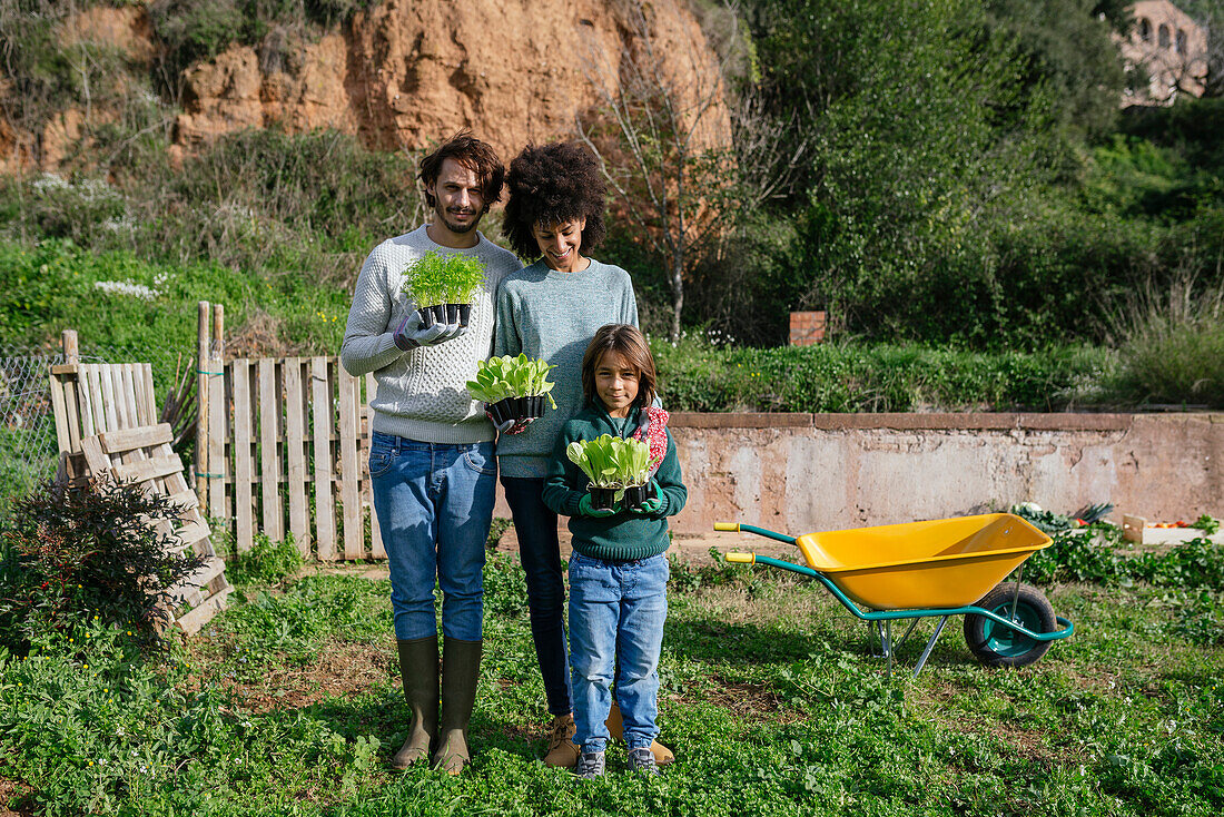 Glückliche Familie, die Salatsämlinge in einem Gemüsegarten hält