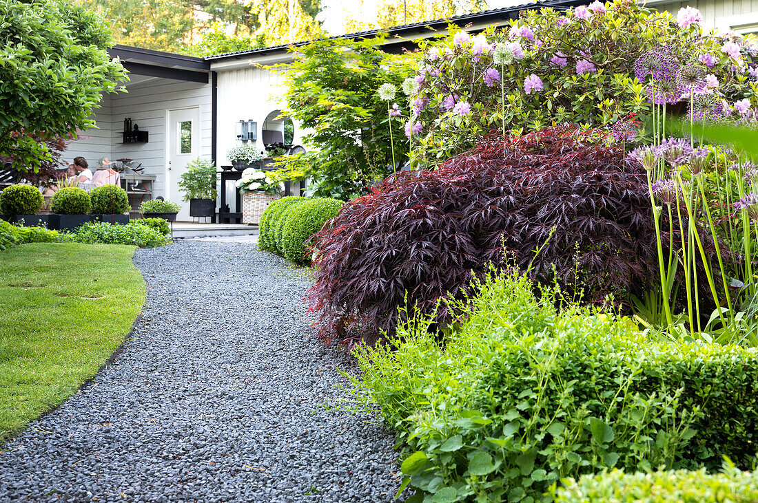 Gently curving gravel path, lined with generous plantings of trees, shrubs and perennials