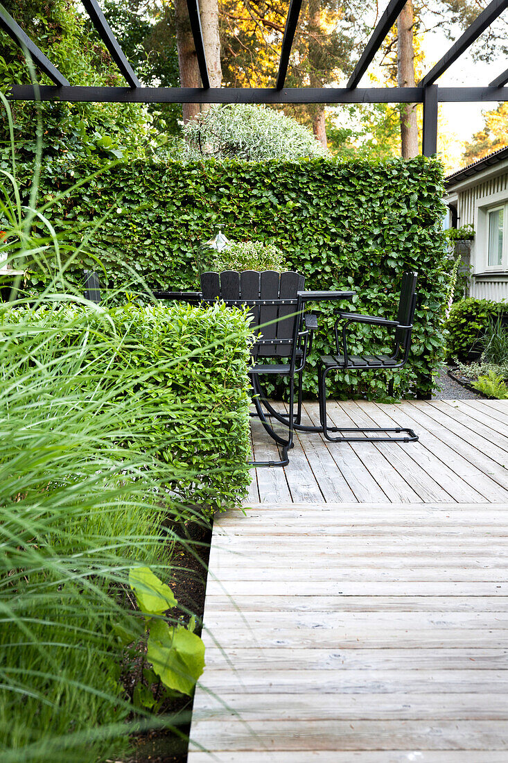 Black furniture on the terrace, surrounded by beech and privet hedges of varying heights