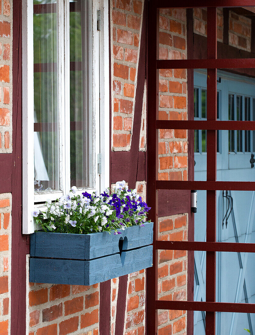 Blue painted flower window box on brick façade