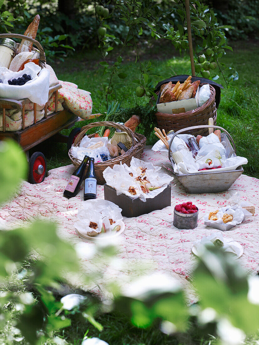 Picknickdecke mit verschiedenen Körben